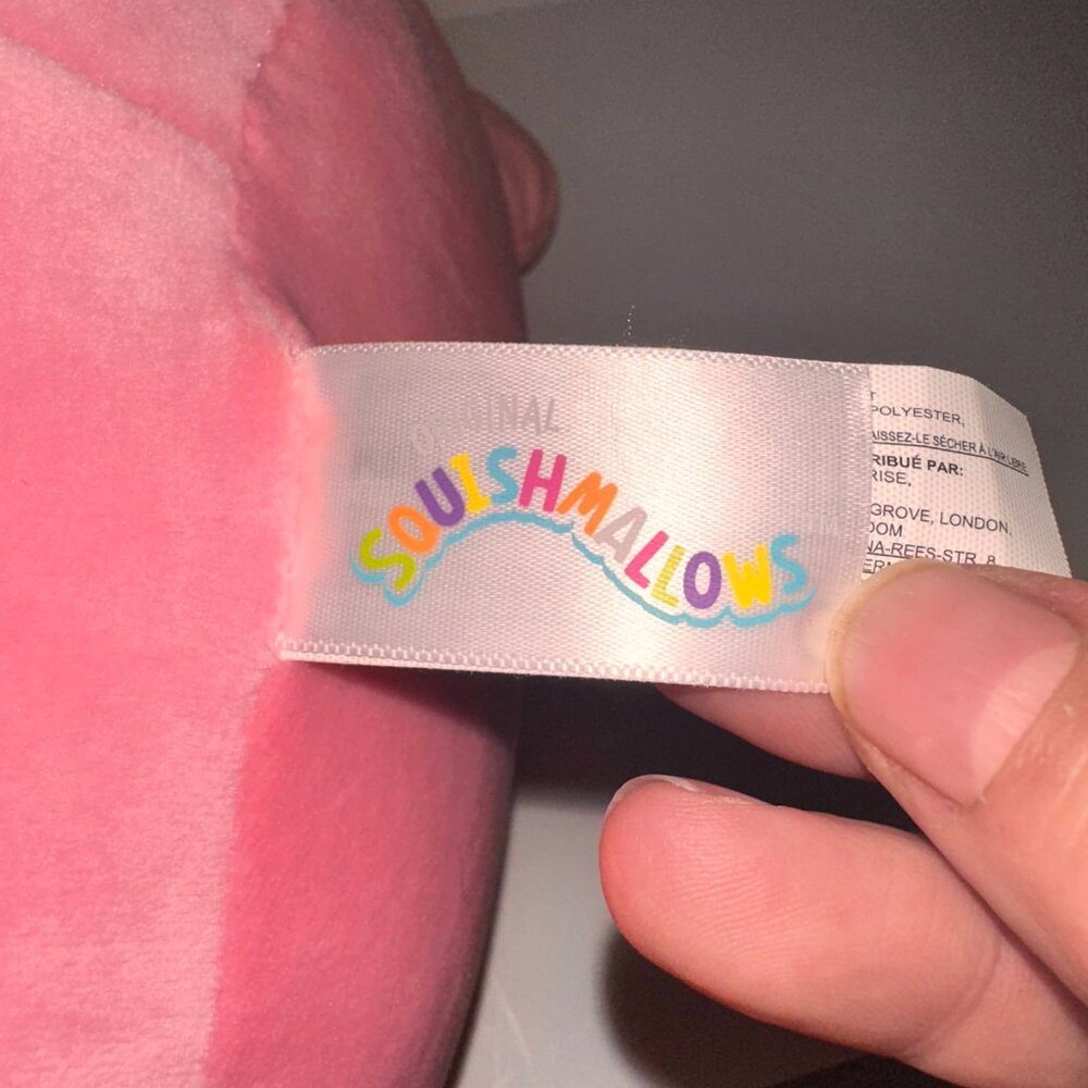Squishmallows 12" IN VALENTINES 2023 BIGFOOT CAPARINNE RARE Kellytoy - Picture 4 of 6